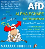 TP-alfaschafefuerdeutschland