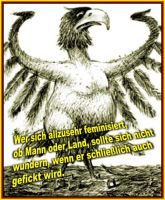 FW-der-bundesadler-1_591x715