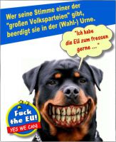 FW-eu-wahl-2014-1_622x759