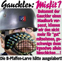 JB-GAUCK-MISFIT