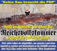 JB-KEINE-SAU-FDP