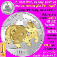 SilberRakete_China-Panda-Fell-GOLD-SILBER-Standard-wertvoll