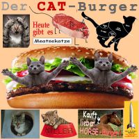 SilberRakete_Der-CAT-Burger-Meatsekatze-Katzen-Kauft-lieber-Horse-Burger2