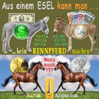 SilberRakete_ESEL-Dollar-Euro-kein-RENNPFERD-GOLD-SILBER