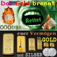 SilberRakete_Euro-Geld-brennt-Rettet-Vermoegen-in-GOLD-und-SiILBER-Barren-Philharmoniker