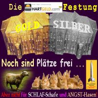 SilberRakete_HARTGELD-Festung-GOLD-SILBER-Plaetze-frei-Nicht-Schlaf-Schafe-Angst-Hasen2