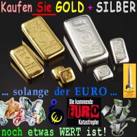 SilberRakete_Kaufen-Sie-GOLD-SILBER-solange-EURO-noch-etwas-Wert-ist-Barren-Euro-Katastrophe