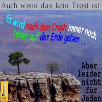 SilberRakete_Kein-Trost-nach-Crash-noch-Leben-auf-der-Erde-Baeume-Felsen-Leider-nicht-fuer-Jeden