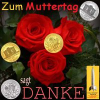 SilberRakete_Muttertag2014-rote-Rosen-sagt-DANKE-Philharmoniker-GOLD-SILBER