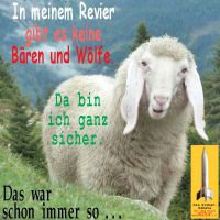 SilberRakete_Schaf-Revier-keine-Baeren-Woelfe-sicher-schon-immer