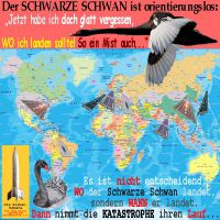 SilberRakete_Schwarzer-Schwan-orientierungslos-Weltkarte-viele-Landebahnen-WO-WANN-Katastrophe2