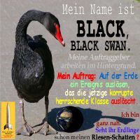 SilberRakete_SchwarzerSchwan-Name-BlackSwan-Auftrag-Ereignis-Herrschende-Klasse-ausloeschen-Erde-Schatten2