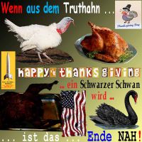 SilberRakete_ThanksGiving-2014-Truthahn-gebraten-verbrannt-SchwarzerSchwan-USA-Ende-nah