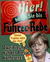 FW-merkel-2015-27a