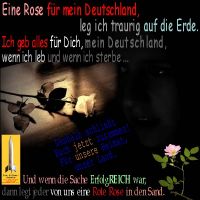 SilberRakete_AnnettM-Rose-fuer-Deutschland-traurig-Erde-zusammen-Heimat-erfolgReich-RoteRose-Sand2