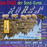SilberRakete_Ende-Bondkurse-Schafe-ratlos-Schildkroete-Nicht-weiter-geht-baden-Kurse-abwaerts