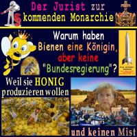 SilberRakete_Jurist-zur-kommenden-Monarchie-Bienen-Koenigin-Honig-Misthaufen-Merkel-Fluechtlinge