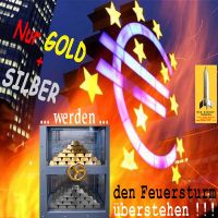 SilberRakete_Nur-GOLD-SILBER-werden-Feuer-Sturm-ueberstehen-Tresor-Barren-EU-EZB-Euro