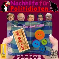 SilberRakete_Pleitegeier-Nachhilfe-fuer-Politidioten-Schulden-GR-300Mrd-Euro-nur-Knoepfe-Pleite