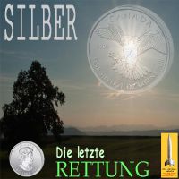 SilberRakete_SILBER-Die-letzte-Rettung-Falke-Landschaft-Baum-Sonne2