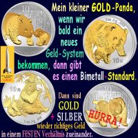 SilberRakete_SILBER-GOLD-Panda-Bald-neues-Geldsystem-Bimetall-Standard-Richtiges-Geld-Festes-Verhaeltnis