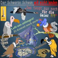 SilberRakete_SchwarzeSchwan-nicht-landen-EU-Euro-nur-noch-fuer-Geier-Ouzu-Mahlzeit-Dollar