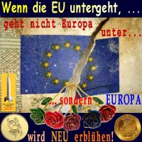 SilberRakete_Wenn-EU-untergeht-wird-Europa-neu-erbluehen-Fahne-EU-kaputt-Rosen-Goldmuenzen2