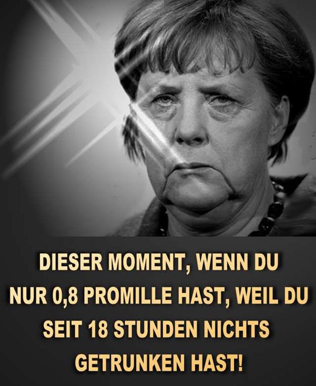 FW-merkel2016-36a