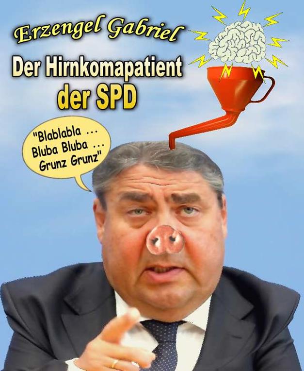 FW-spd2016-8a