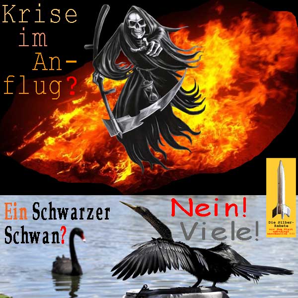 SilberRakete Krise-im-Anflug-Feuer-Tod-Schwarzer-Schwan-Nein-viele2