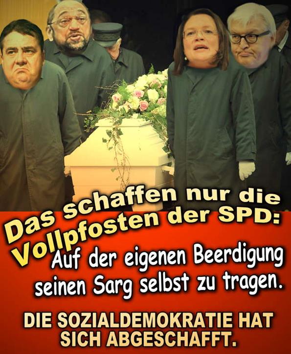 FW spd2016 16a