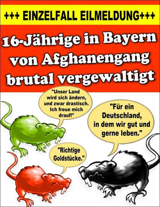 FW wahlen2017 4a