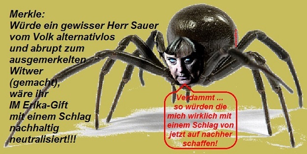 Schwarze Witwe IM Erika