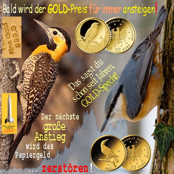 SilberRakete Specht GOLD Preis fuer immer steigen Kleiber Sagst du seit Jahren Anstieg wird Papiergeld zerstoeren