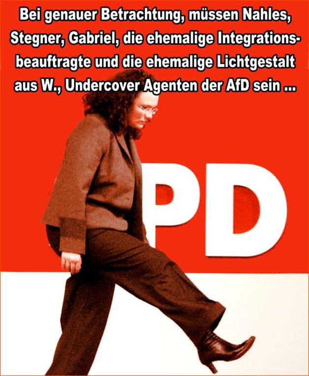 FW afd2018 1a