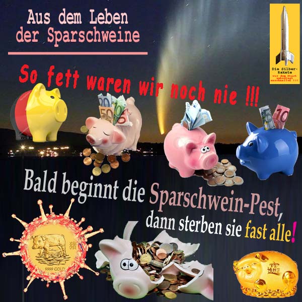 SilberRakete Aus Leben der Sparschweine Fett wie noch nie Bald Sparschweinpest Fast alle sterben