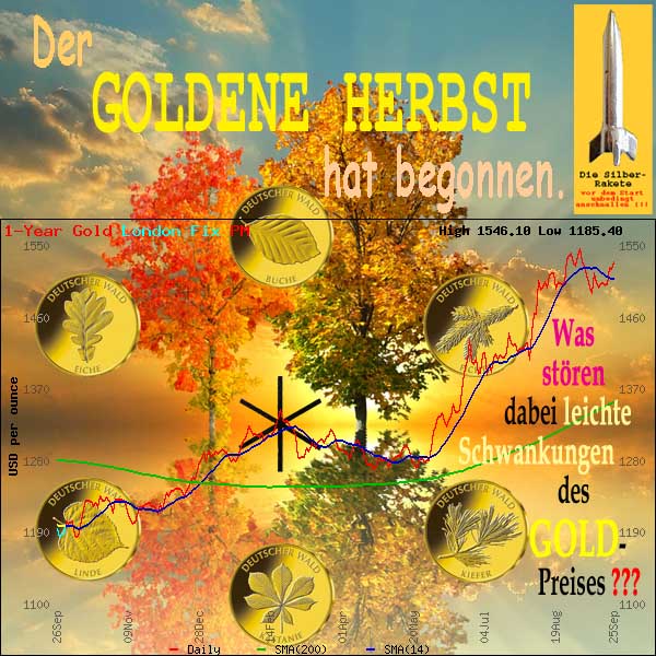 SilberRakete GOLDENER Herbst hat begonnen Muenzen DtWald Hagal Was stoeren Goldpreisschwankungen