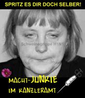 FW-Schweinegrippe-Merkel