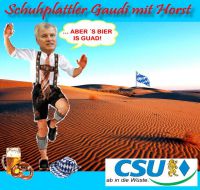 FW-Seehofer-in-die-wueste