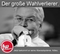 FW-Steinmeier-Wahlverlierer