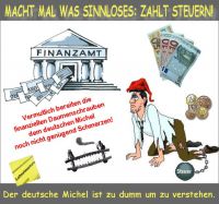 FW-Steuermichel