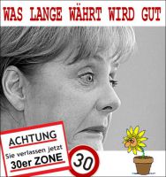 FW-cdu-csu-30erzone