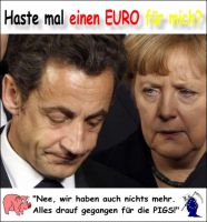 FW-euro-schweine2