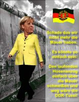 FW-merkel-mauer