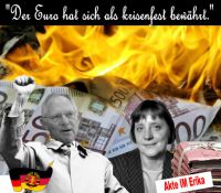 FW-merkel-schaueble-euro