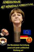 FW-merkel-schreckschraube