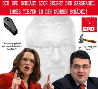 FW-sarrazin-spd