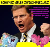 FW-westerwelle-schwarz-gelbe-bilanz