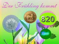 Gold-Fruehling820