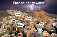 PW-Europa-hat-gewaehlt